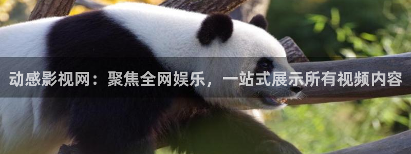 达达兔app官方正版下载