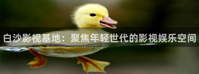 神马影院第九达达兔影院