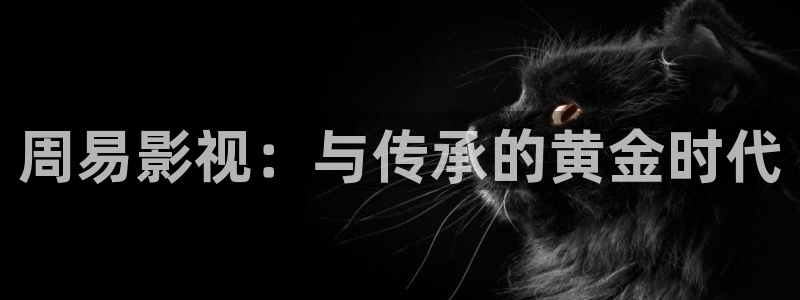 达达兔影视大全免费版